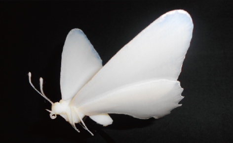 試作(粉末造形・光造形・3Dプリンター・真空注型・切削加工)